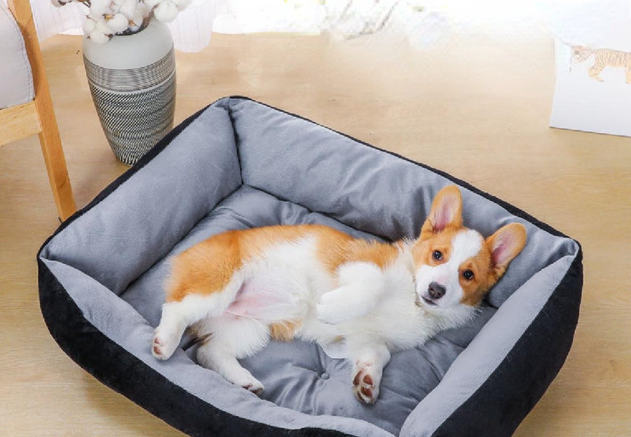 Bed with outlet dog bed